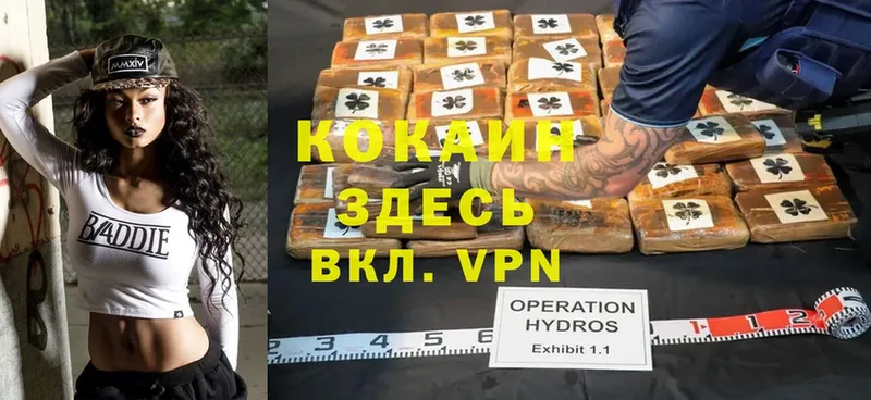 магазин продажи наркотиков  Ржев  Cocaine Колумбийский 